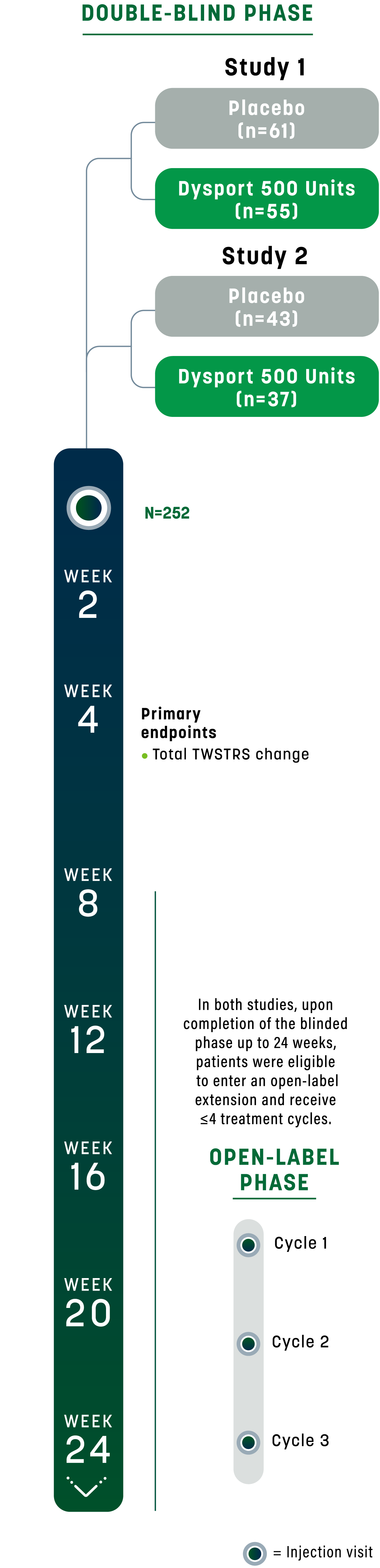 timeline graphic showing a dysport double-blind study design for adults with cervical dystonia (n=196) over a 20-week and open-label period